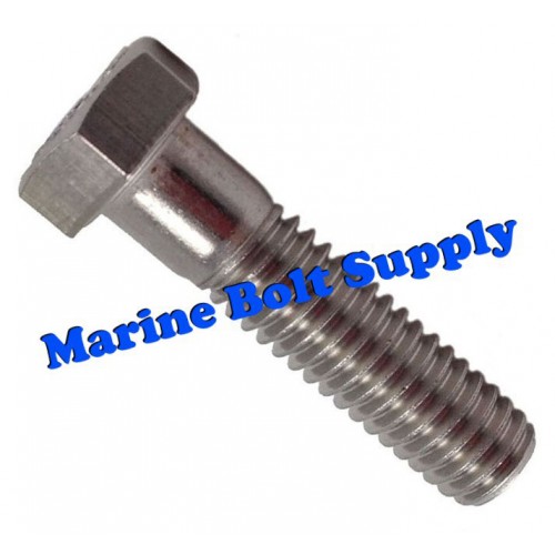 Type 304 Stainless Steel Hex Head Bolt 1/4-20 x 5